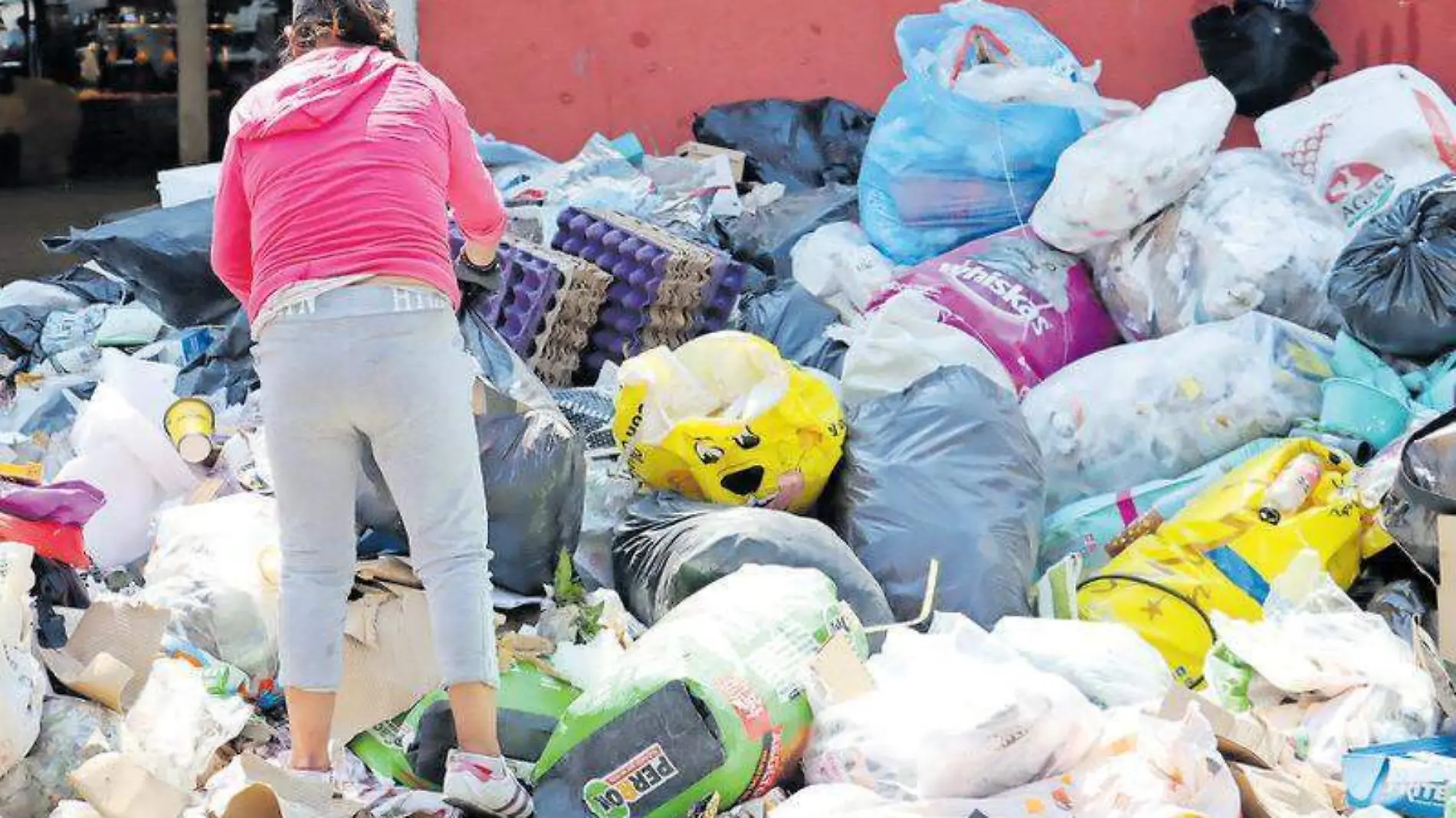 Basura (2)